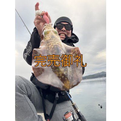 画像5: WILDCHASE 3.5号シャローtune /火雷 ほのいかずち[監修:新井 和也]