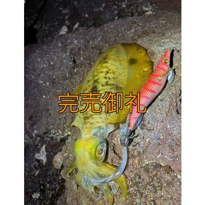 画像7: WILDCHASE 3.5号シャローtune /火雷 ほのいかずち[監修:新井 和也]