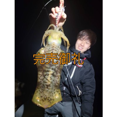 画像3: WILDCHASE 3.0号 /四雷 しらい[監修:藤原 弘貴]