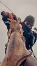 画像8: WILDCHASE 3.0号 /火雷 ほのいかずち[監修:新井 和也] (8)