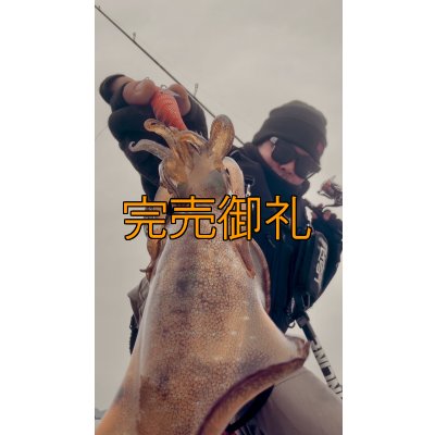 画像8: WILDCHASE 3.5号シャローtune /火雷 ほのいかずち[監修:新井 和也]