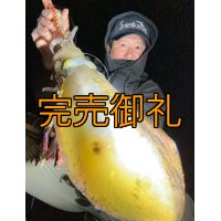WILDCHASE 3.5号シャローtune /雷虎 らいと[監修:山口 譲二]