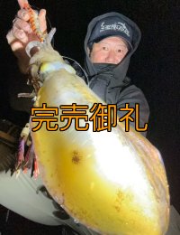 WILDCHASE 3.5号シャローtune /雷虎 らいと[監修:山口 譲二]