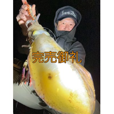 画像1: WILDCHASE 3.5号シャローtune /雷虎 らいと[監修:山口 譲二]