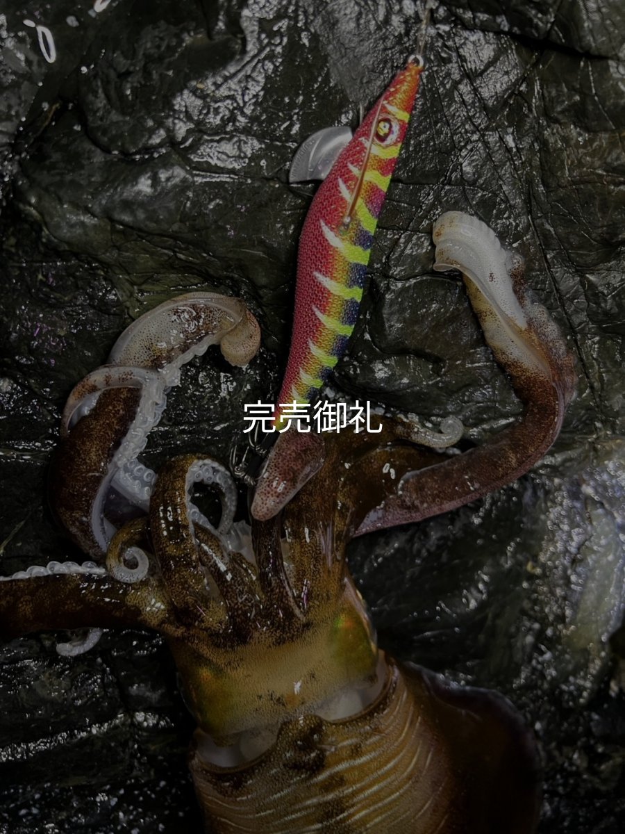 画像9: WILDCHASE 3.0号 /四雷 しらい[監修:藤原 弘貴] (9)