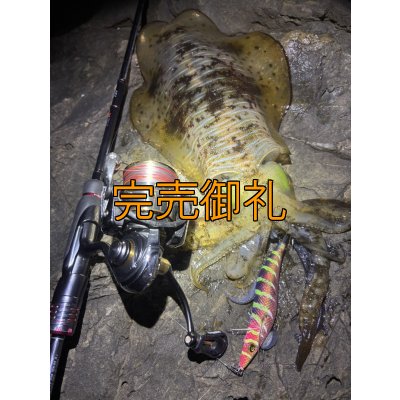 画像12: WILDCHASE 3.0号 /四雷 しらい[監修:藤原 弘貴]