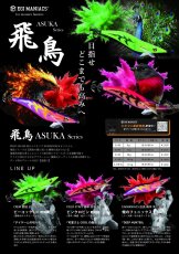 画像16: WILDCHASE 3.0号 /ピーコックＵＶ[監修:野田 広忠] (16)