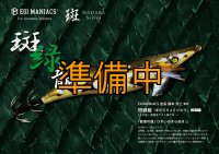 WILDCHASE 3.5号シャローtune /斑緑龍[監修:椿本 洋士]