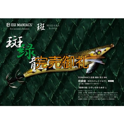 画像22: WILDCHASE 3.5号シャローtune /斑緑龍[監修:椿本 洋士]