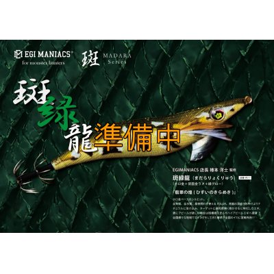 画像1: WILDCHASE 3.5号シャローtune /斑緑龍[監修:椿本 洋士]