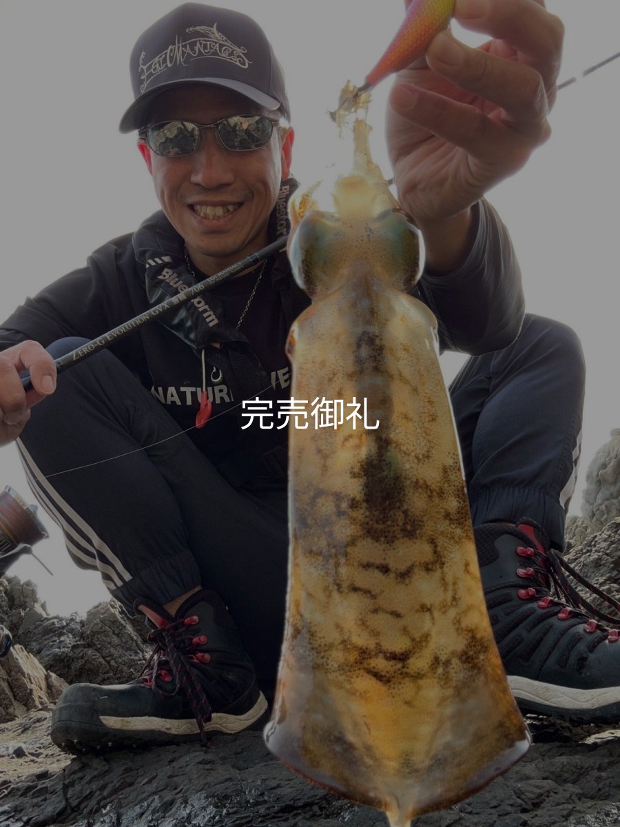 画像6: WILDCHASE 3.5号シャロー [特注:かめや釣具] (6)