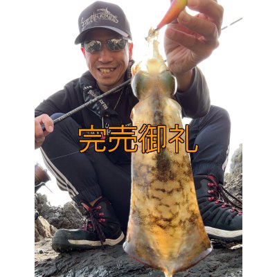 画像6: WILDCHASE 3.5号シャロー [特注:かめや釣具]