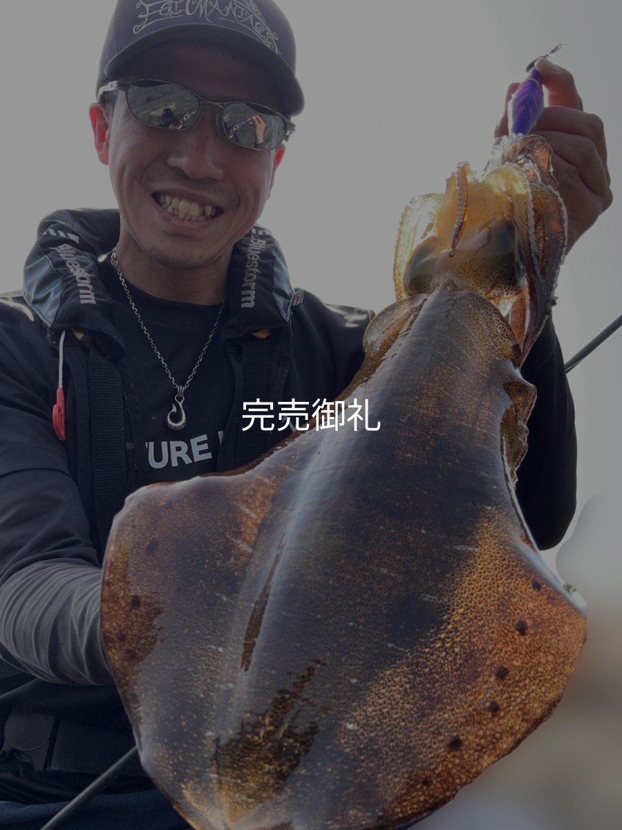 画像3: WILDCHASE 3.5号シャロー [特注:かめや釣具] (3)