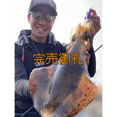 画像3: WILDCHASE 3.5号シャロー [特注:かめや釣具]