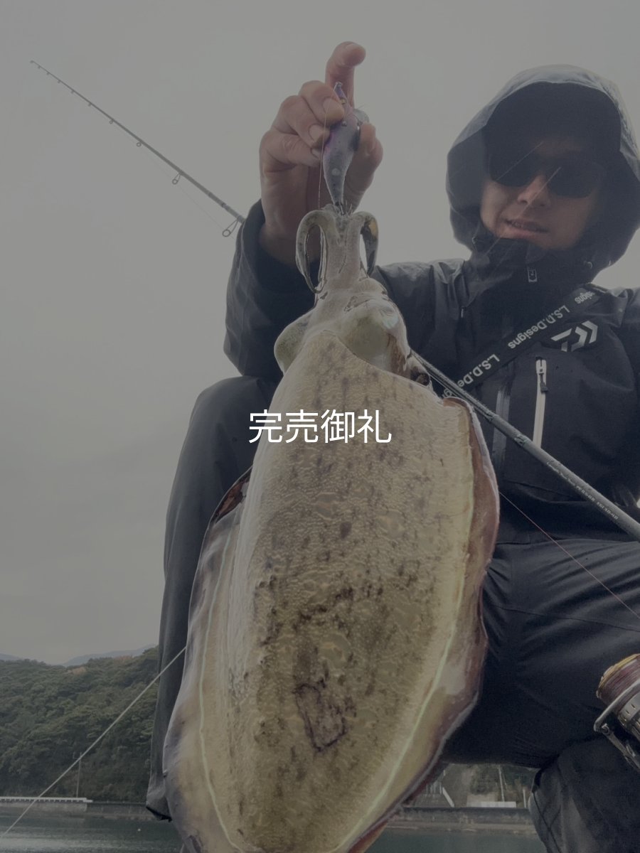 画像4: WILDCHASE 3.5号シャロー [特注:かめや釣具] (4)