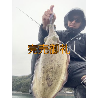 画像4: WILDCHASE 3.5号シャロー [特注:かめや釣具]