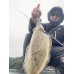 画像4: WILDCHASE 3.5号シャロー [特注:かめや釣具]