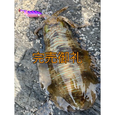 画像8: WILDCHASE 3.5号シャロー [特注:かめや釣具]