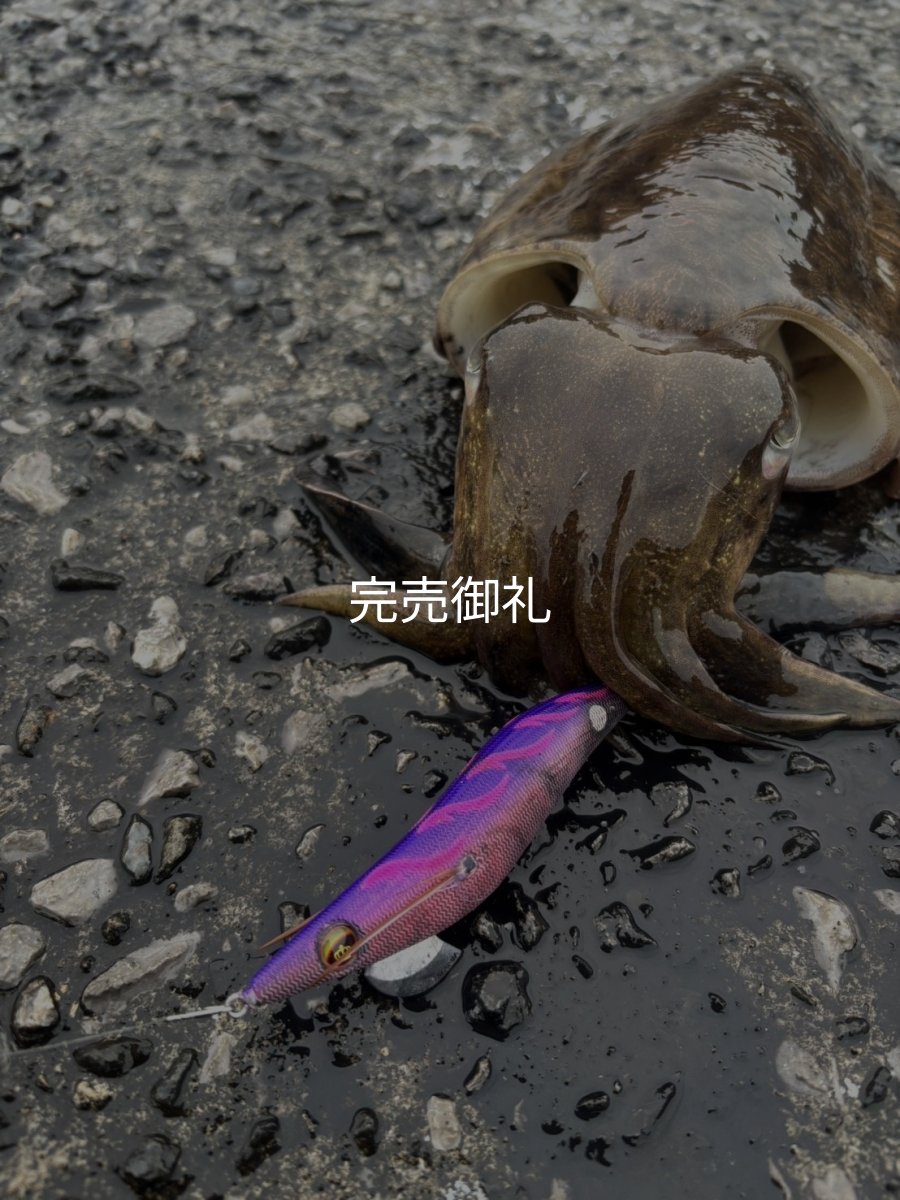 画像10: WILDCHASE 3.5号シャロー [特注:かめや釣具] (10)