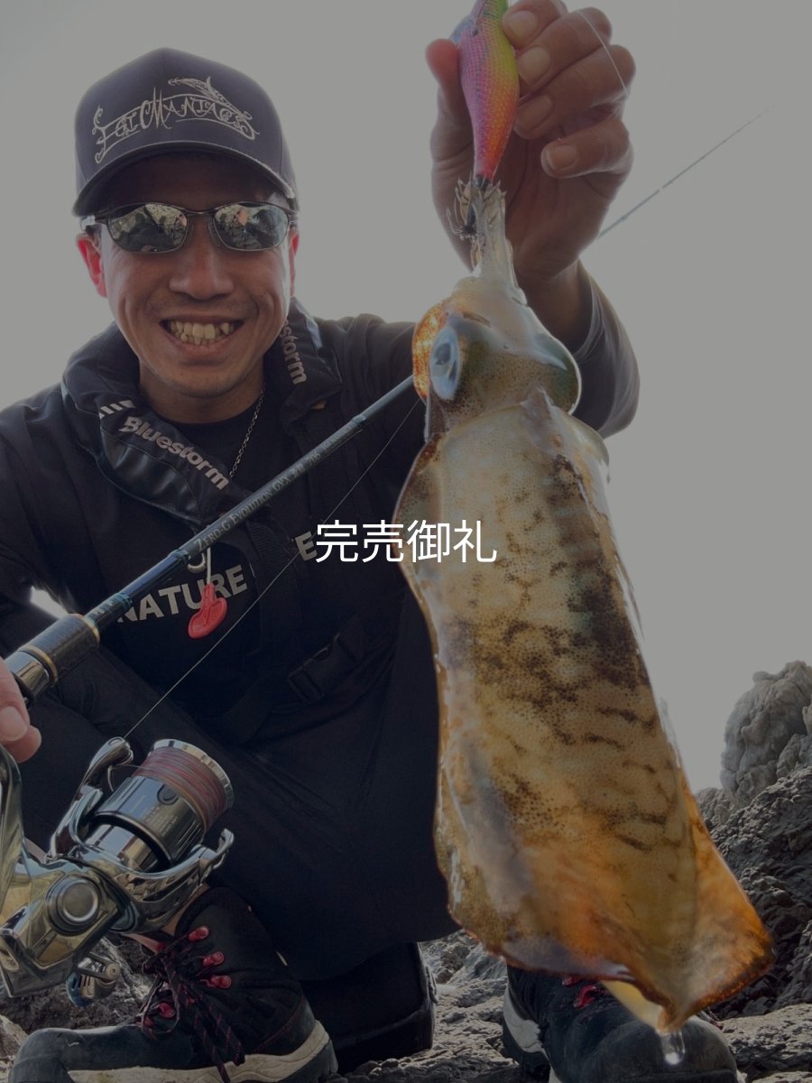 画像5: WILDCHASE 3.5号シャロー [特注:かめや釣具] (5)