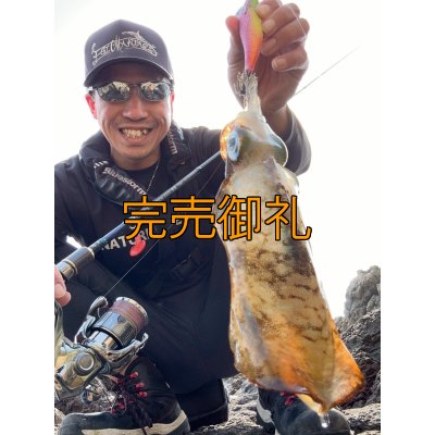 画像5: WILDCHASE 3.5号シャロー [特注:かめや釣具]