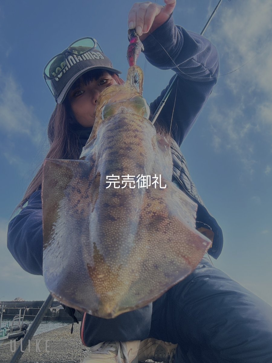 画像1: WILDCHASE 3.0号 /ピンクロビン[監修:藤本 奈浦子] (1)