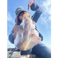 WILDCHASE 3.0号 /ピンクロビン[監修:藤本 奈浦子]