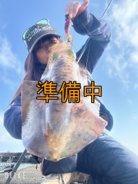 WILDCHASE 3.0号 /ピンクロビン[監修:藤本 奈浦子]
