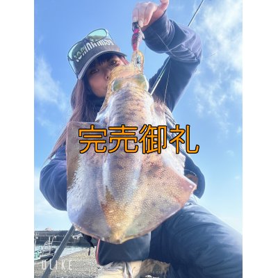 画像1: WILDCHASE 3.5号シャローtune /ピンクロビン[監修:藤本 奈浦子]