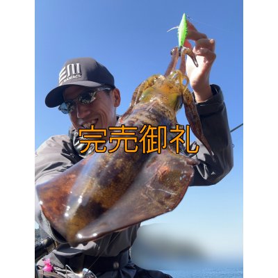 画像6: WILDCHASE 3.5号シャローtune /ピーコックＵＶ[監修:野田 広忠]