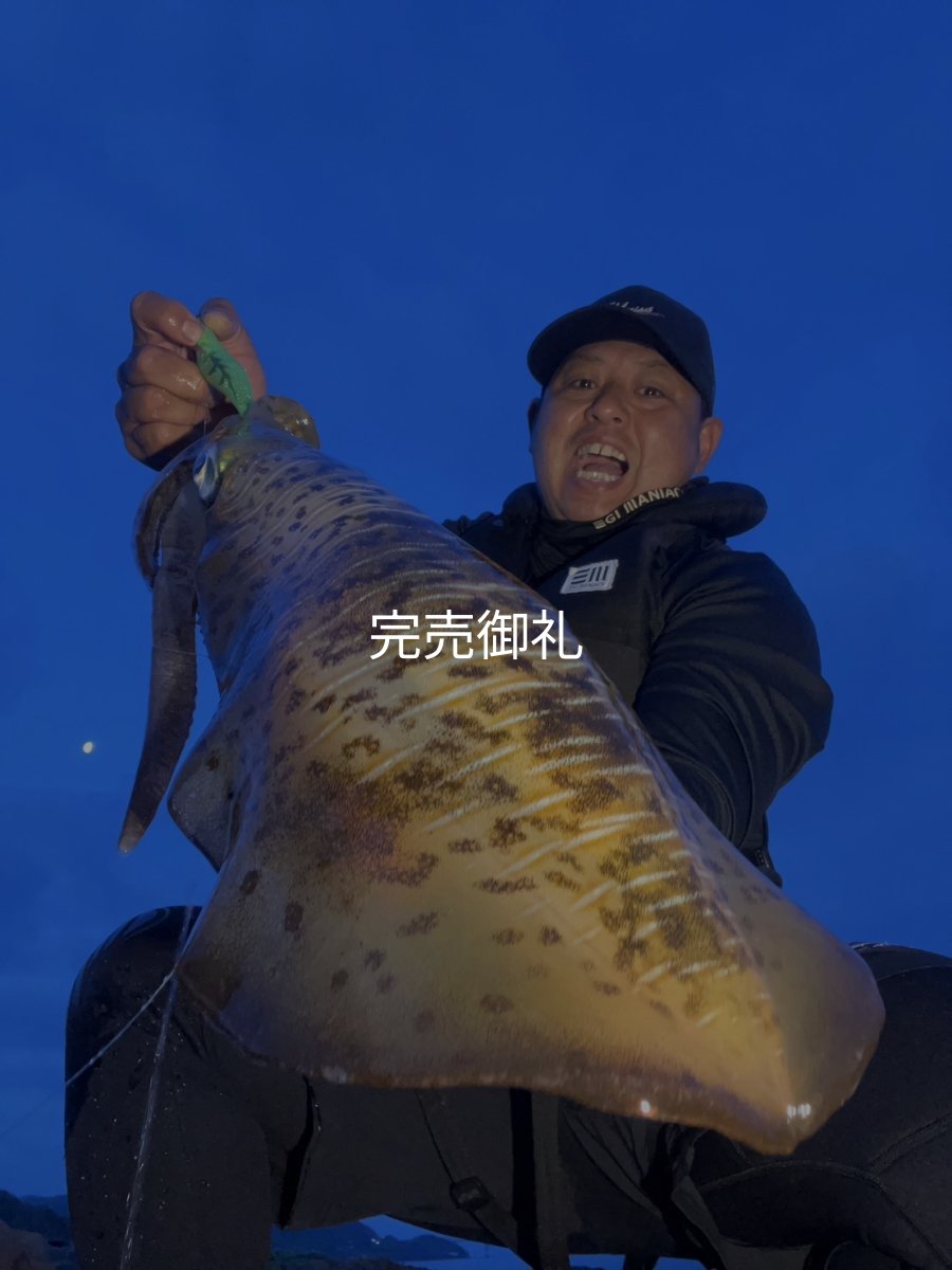 画像1: WILDCHASE 3.0号 /ピーコックＵＶ[監修:野田 広忠] (1)