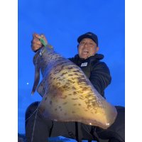 WILDCHASE 3.0号 /ピーコックＵＶ[監修:野田 広忠]