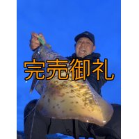 WILDCHASE 3.5号シャローtune /ピーコックＵＶ[監修:野田 広忠]