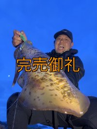 WILDCHASE 3.5号シャローtune /ピーコックＵＶ[監修:野田 広忠]