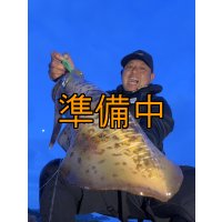 WILDCHASE 3.0号 /ピーコックＵＶ[監修:野田 広忠]