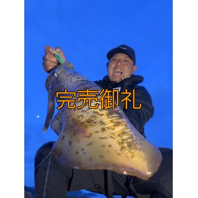 画像1: WILDCHASE 3.5号シャローtune /ピーコックＵＶ[監修:野田 広忠]