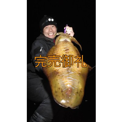 画像3: WILDCHASE 3.5号シャローtune /俺のフェニックス[監修:椿本 洋士]