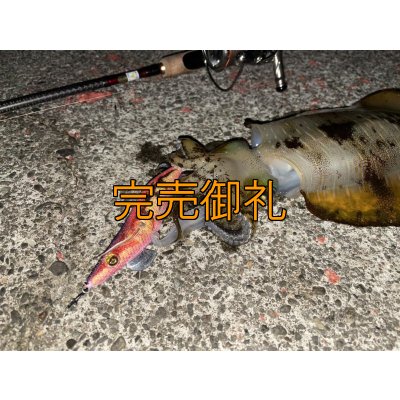 画像18: WILDCHASE 3.5号シャローtune /ピンクロビン[監修:藤本 奈浦子]