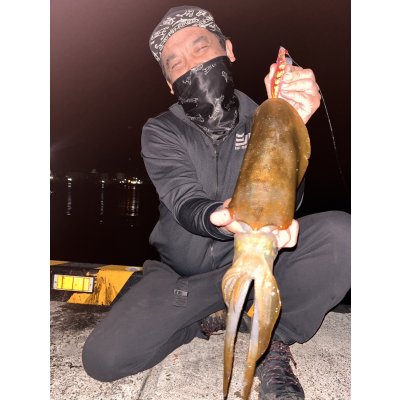 画像4: WILDCHASE 3.0号 /ピンクロビン[監修:藤本 奈浦子]