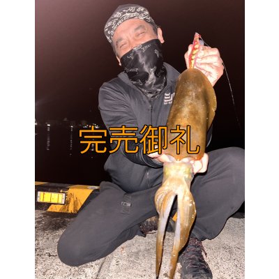 画像4: WILDCHASE 3.5号シャローtune /ピンクロビン[監修:藤本 奈浦子]