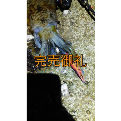 画像16: WILDCHASE 3.5号シャローtune /ピンクロビン[監修:藤本 奈浦子]