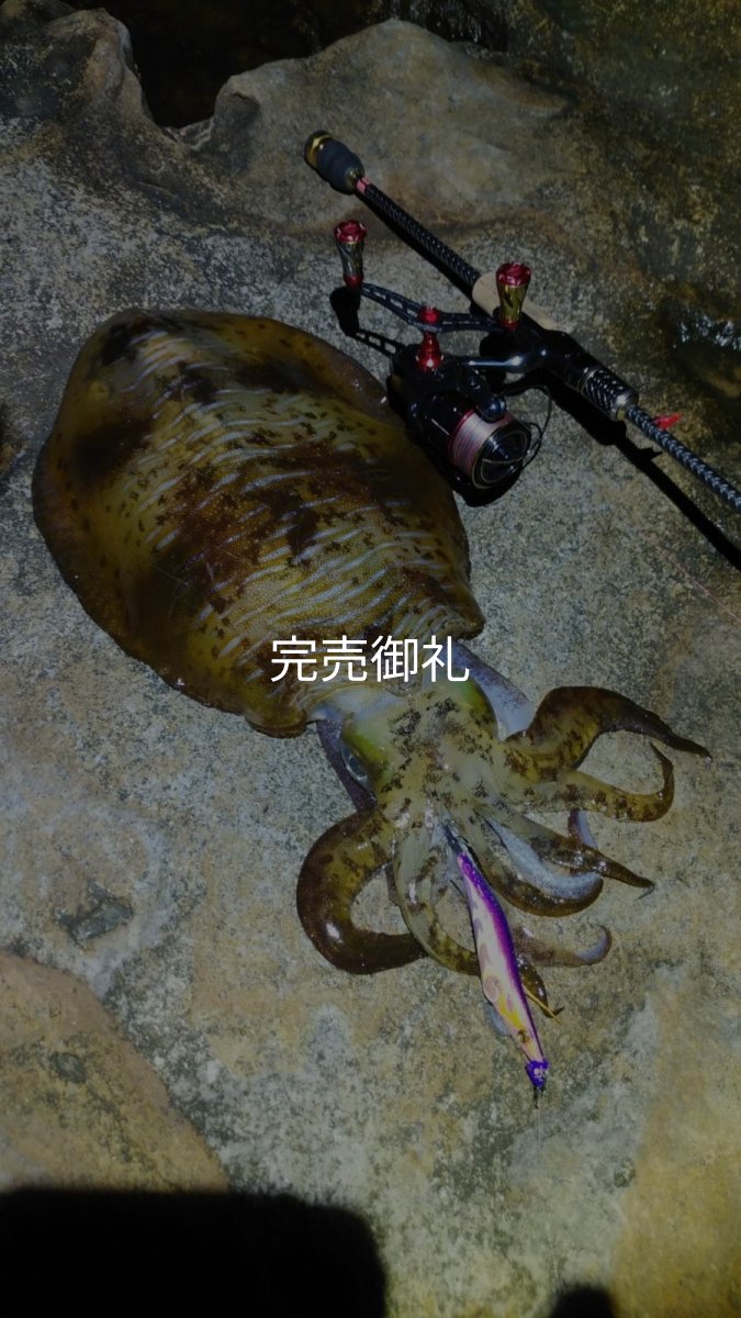 画像12: WILDCHASE 3.0号 /俺のフェニックス[監修:椿本 洋士] (12)
