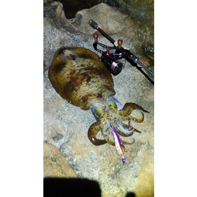 画像12: WILDCHASE 3.0号 /俺のフェニックス[監修:椿本 洋士]