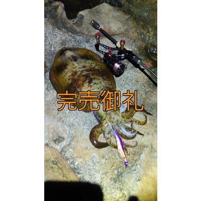 画像12: WILDCHASE 3.5号シャローtune /俺のフェニックス[監修:椿本 洋士]