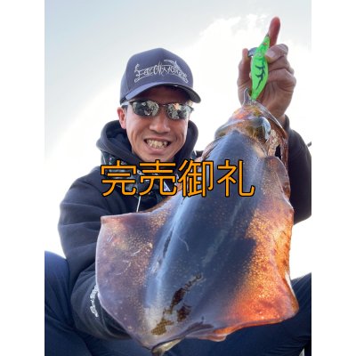 画像4: WILDCHASE 3.5号シャローtune /ピーコックＵＶ[監修:野田 広忠]