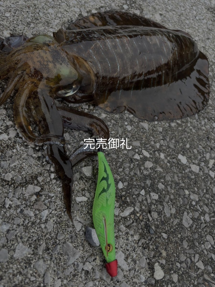 画像11: WILDCHASE 3.0号 /ピーコックＵＶ[監修:野田 広忠] (11)