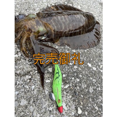 画像11: WILDCHASE 3.5号シャローtune /ピーコックＵＶ[監修:野田 広忠]