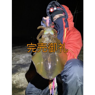 画像6: WILDCHASE 3.5号シャローtune /ピンクロビン[監修:藤本 奈浦子]