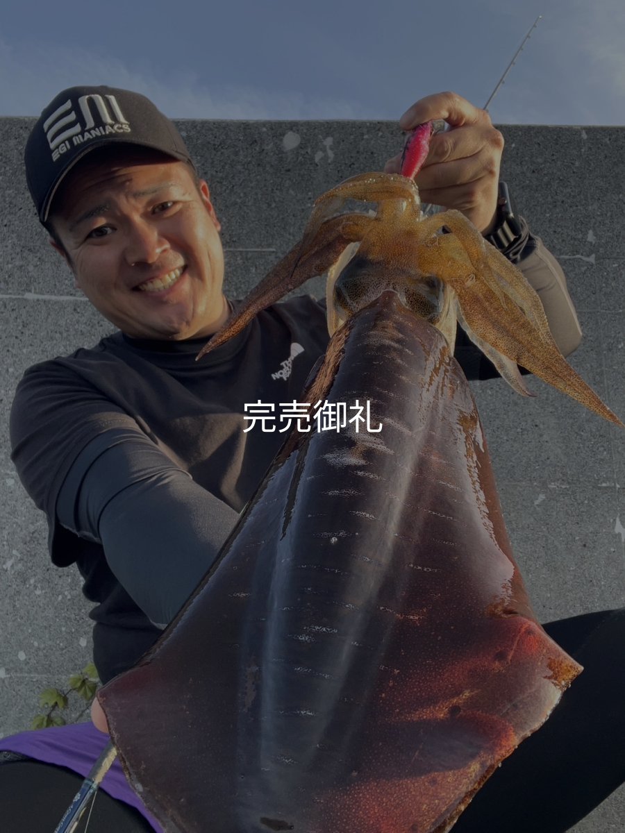 画像11: WILDCHASE 3.0号 /ピンクロビン[監修:藤本 奈浦子] (11)