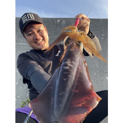 画像11: WILDCHASE 3.0号 /ピンクロビン[監修:藤本 奈浦子]